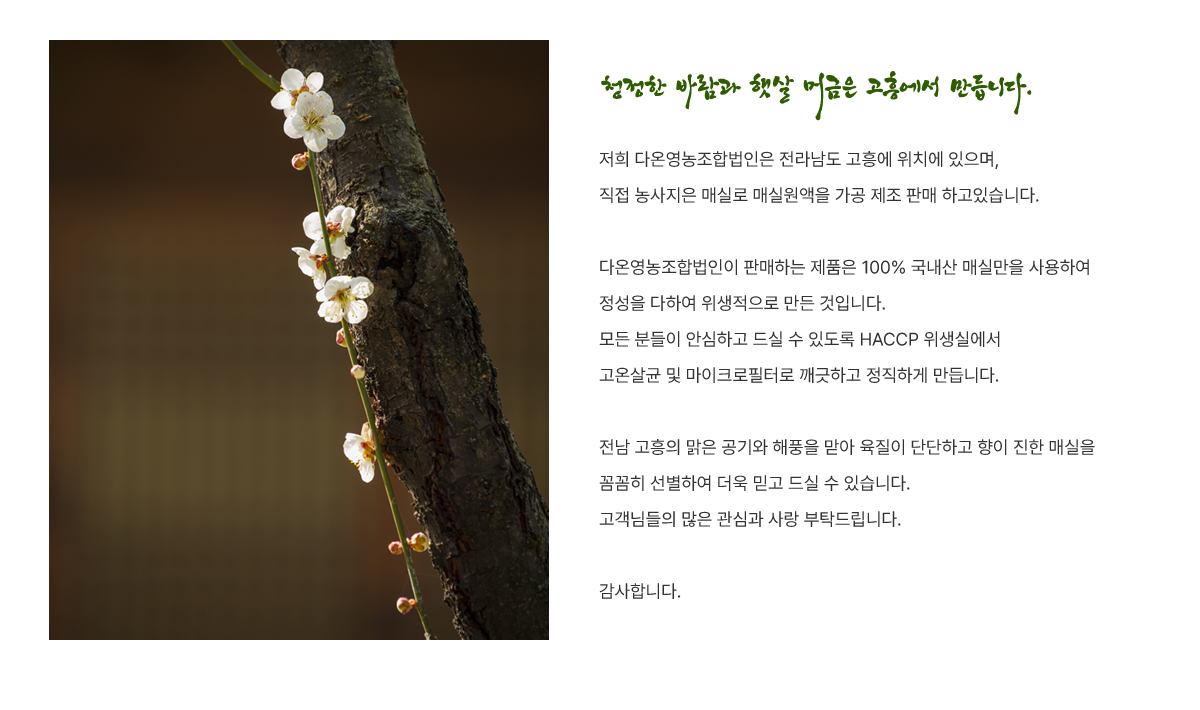 회사소개